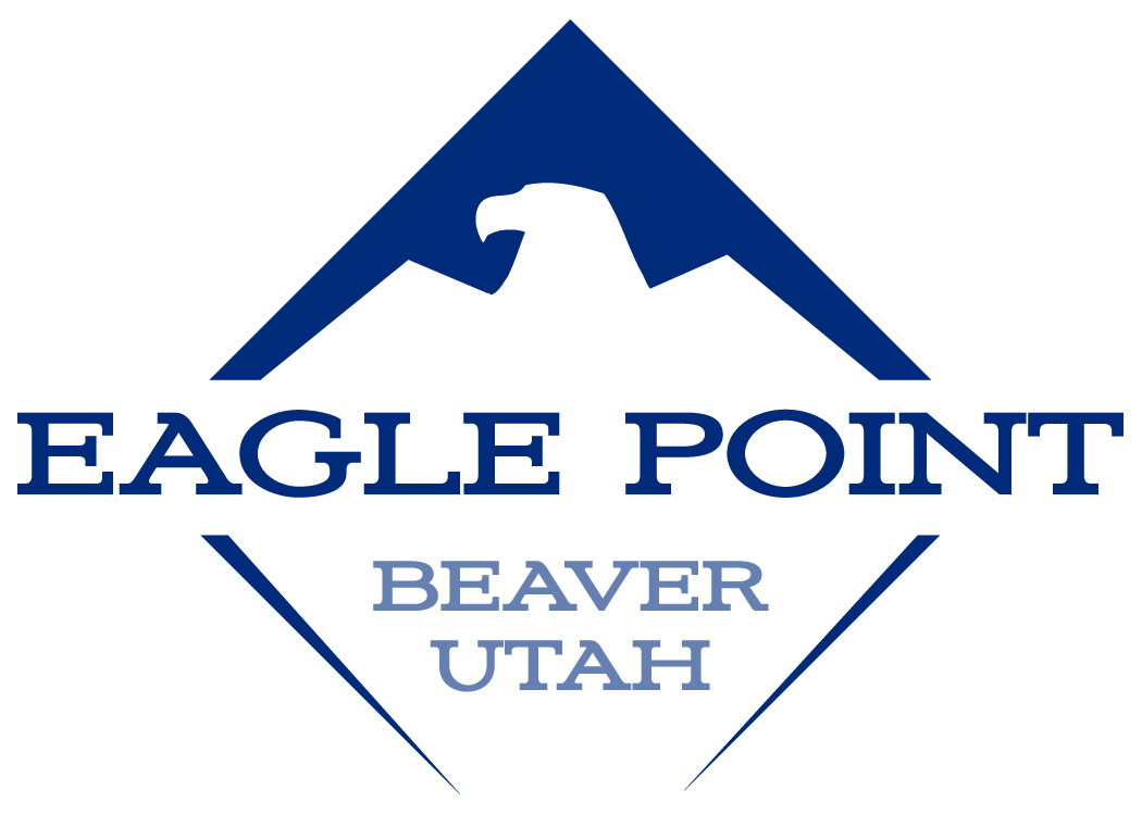 Director of Lift Maintenance and Lift Operations